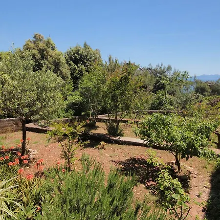 Apartament Family Friendly Seaside Prizba, Korcula - 10061 *